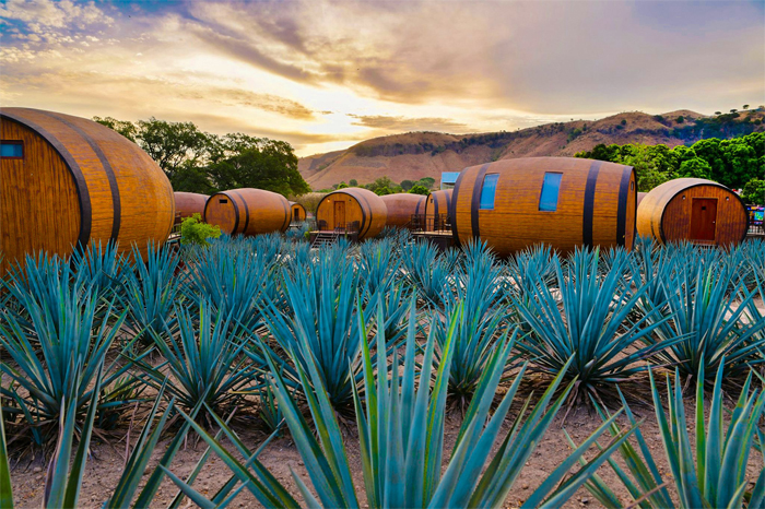 Matices Hotel de Barricas is located next to a tequila factory.